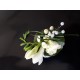 Blanche