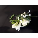 Blanche