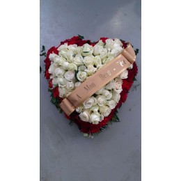 Rose des vents